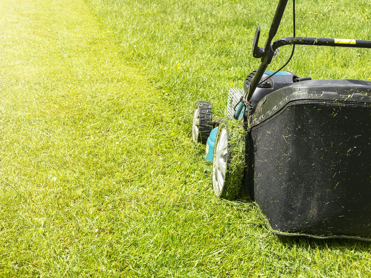 Lawn mower cutting bright green grass on a sunny lawn